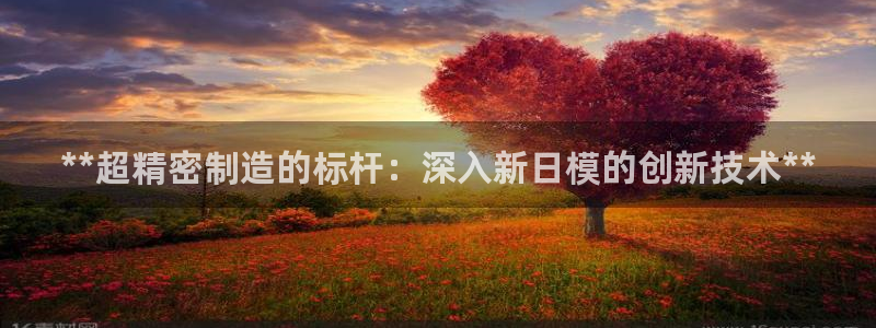 彩神平台可以破解吗：**超精密制造的标杆：深入新日模的创新技术**