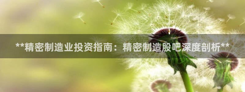 彩神v破解版：**精密制造业投资指南：精密制造股吧深度剖析**
