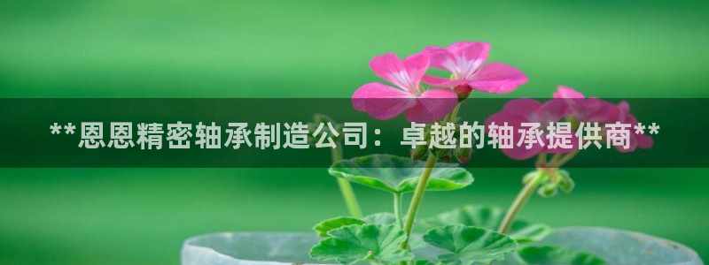 彩神ii官方网