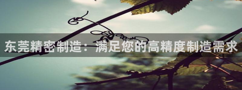 所有彩神购买首页都一样吗