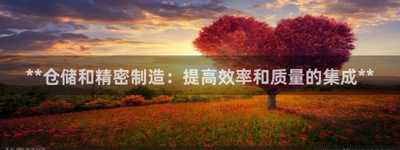 彩神v8是一个什么平台：**仓储和精密制造：提高效率和质量的集成**