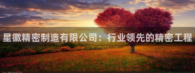 彩神V8平台