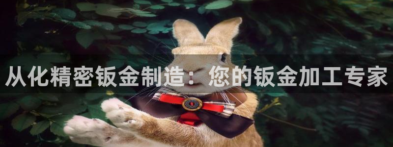 彩神vip购彩大厅在哪：从化精密钣金制造：您的钣金加工专家
