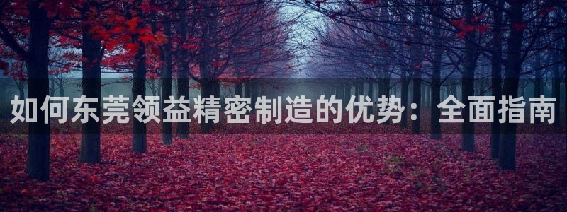 在彩神网输了六万多怎么拿回来