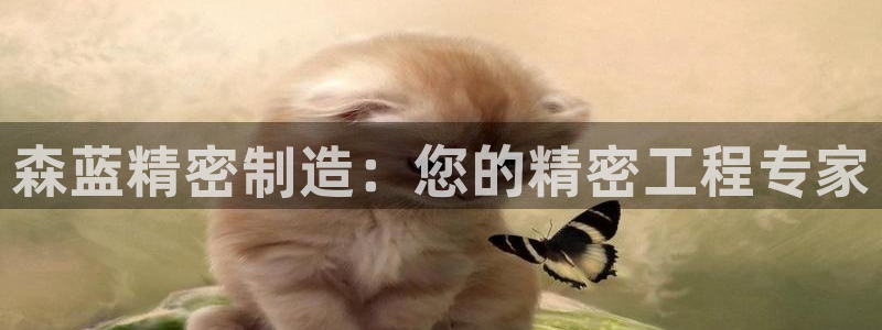 彩神vii官网大赢家