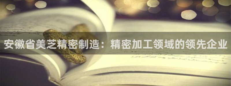 彩神vip购彩：安徽省美芝精密制造：精密加工领域的领先企业