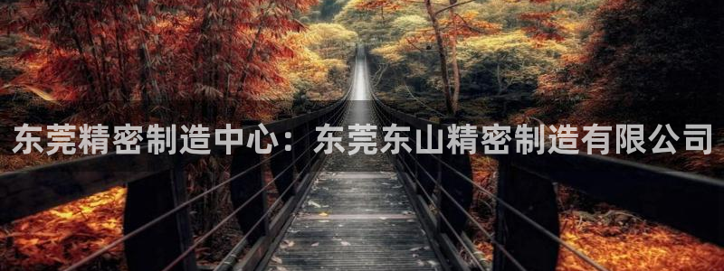 彩神是什么平台的游戏