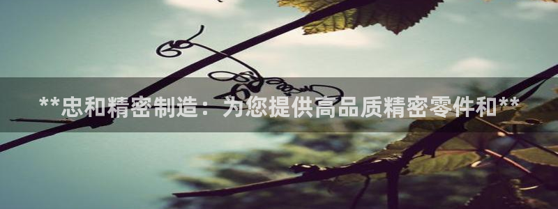 v彩神88iii