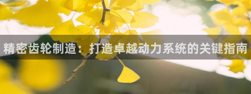 彩神赢钱了吗知乎：精密齿轮制造：打造卓越动力系统的关键指南