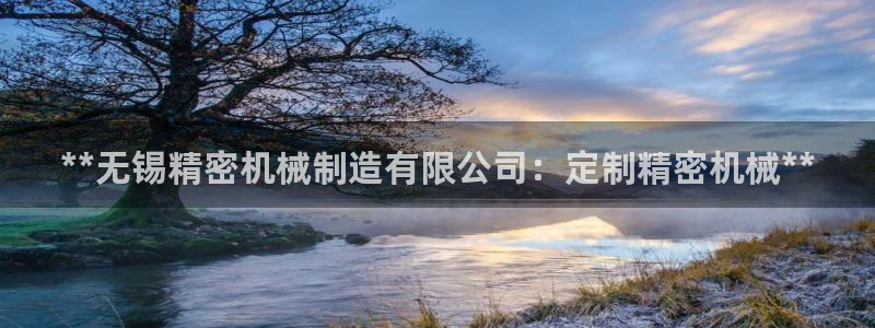 彩神vl购彩大厅：**无锡精密机械制造有限公司：定制精密机械**