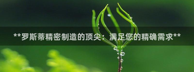 彩神v8购彩大厅登：**罗斯蒂精密制造的顶尖：满足您的精确需求**