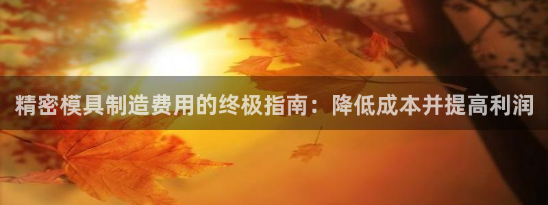 彩神V集团有限公司