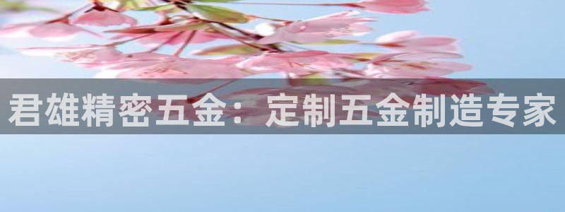 彩神v8手机客户端在哪：君雄精密五金：定制五金制造专家
