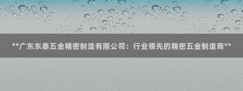 彩神 好 平台：**广东东泰五金精密制造有限公司：行业领先的精密五金制造商**