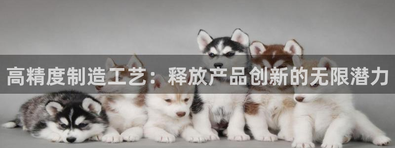 新版彩神v8登录不上去