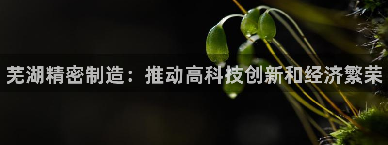 彩神vlll官网网上购彩