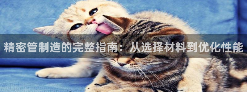 彩神v8是真的挣钱吗