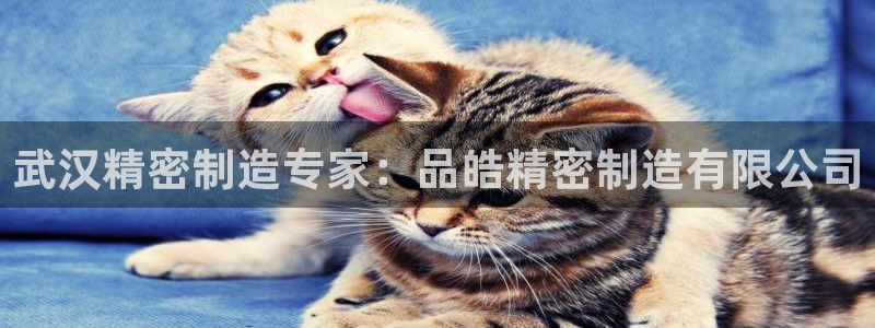 彩神vii手游下载