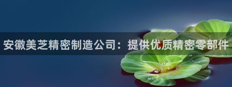彩神v网赌软件下载