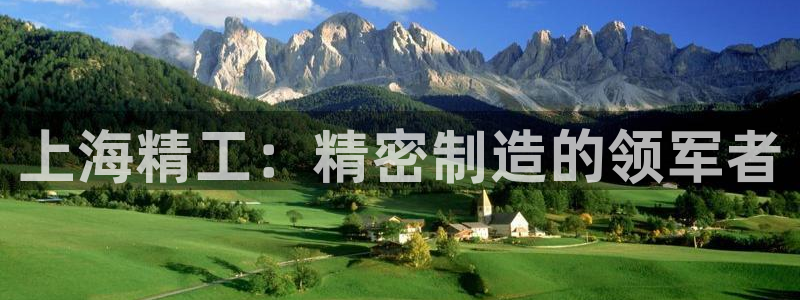 彩神vip官方网站