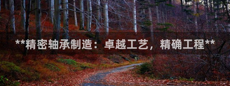 彩神vlll官网网上购彩