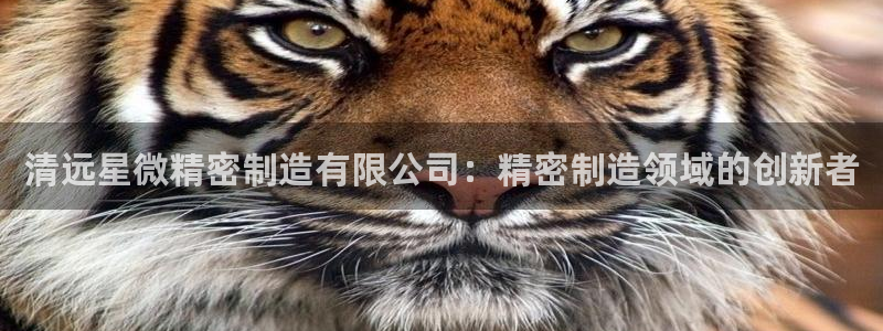 彩神vl购彩大厅