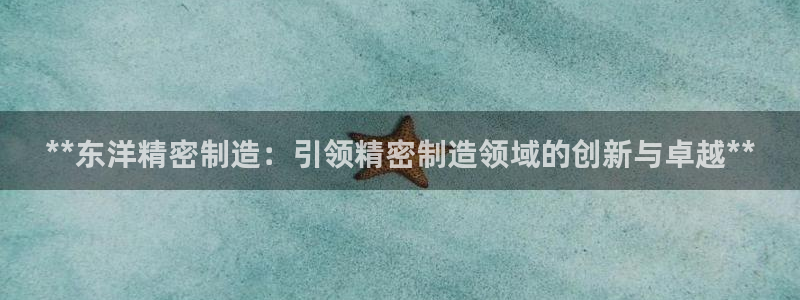 彩神V8有限公司：**东洋精密制造：引领精密制造领域的创新与卓越**