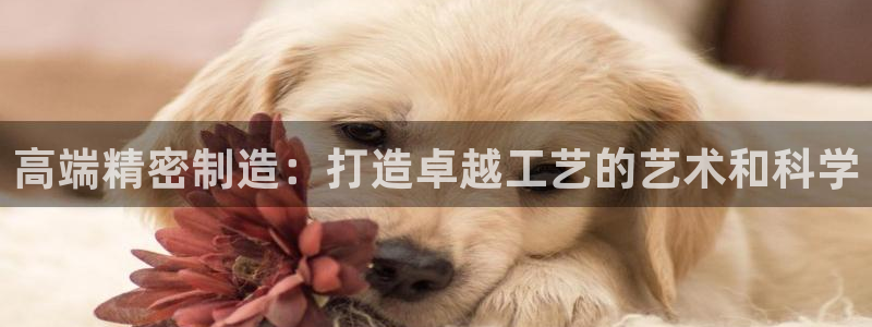彩神vlll游戏特色