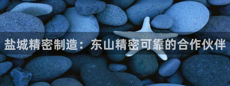 彩神v集团有限公司：盐城精密制造：东山精密可靠的合作伙伴