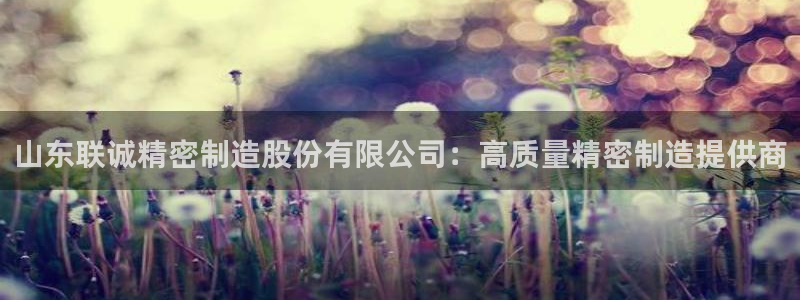 彩神v8app：山东联诚精密制造股份有限公司：高质量精密制造提供商