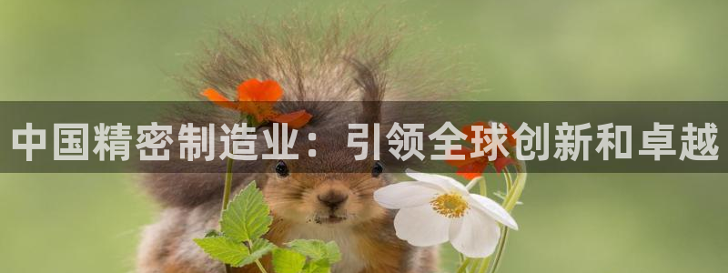 彩神ix官网是哪个公司的：中国精密制造业：引领全球创新和卓越