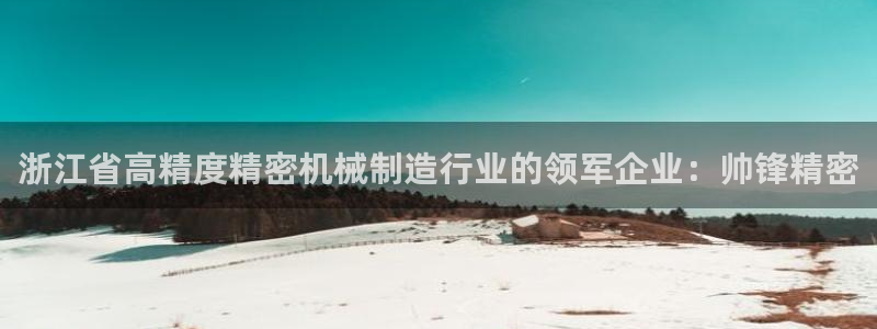 彩神vip官方网站：浙江省高精度精密机械制造行业的领军企业：帅锋精密