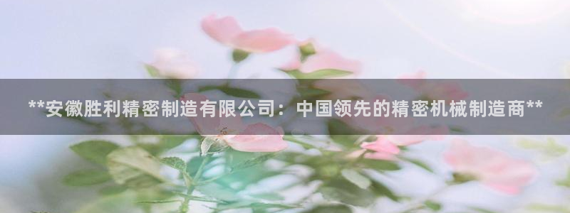 新版彩神v8登录：**安徽胜利精密制造有限公司：中国领先的精密机械制造商**