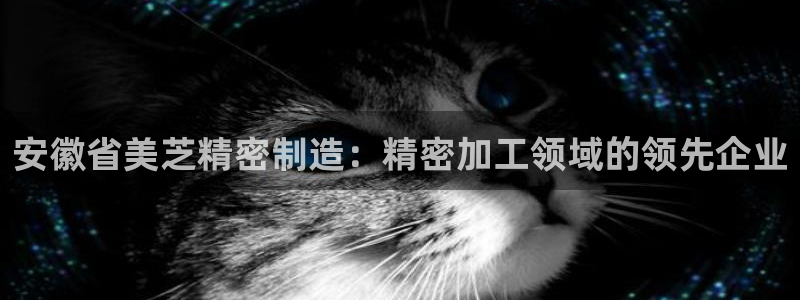 彩神v8几个版本