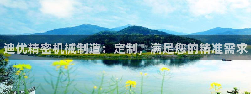 彩神赢的钱是哪里来的啊：迪优精密机械制造：定制，满足您的精准需求