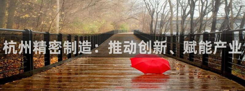 彩神vi官网版：杭州精密制造：推动创新、赋能产业