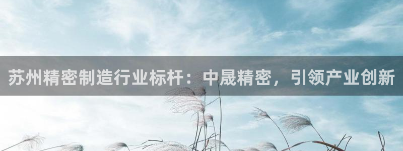 彩神ix官网是哪个公司的