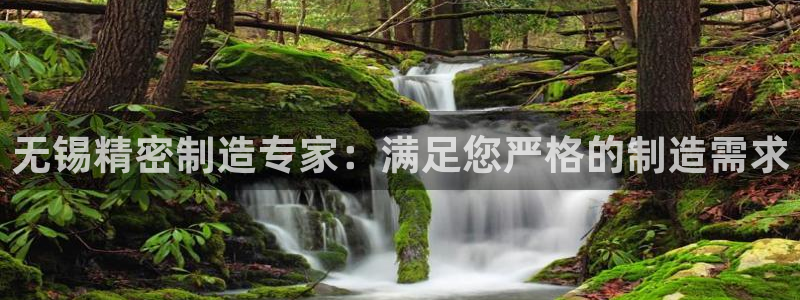 彩神8官网版