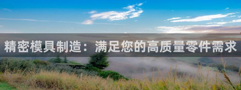 彩神8官网合法吗：精密模具制造：满足您的高质量零件需求