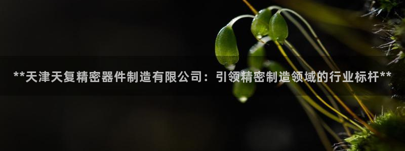 彩神旗下有哪些平台