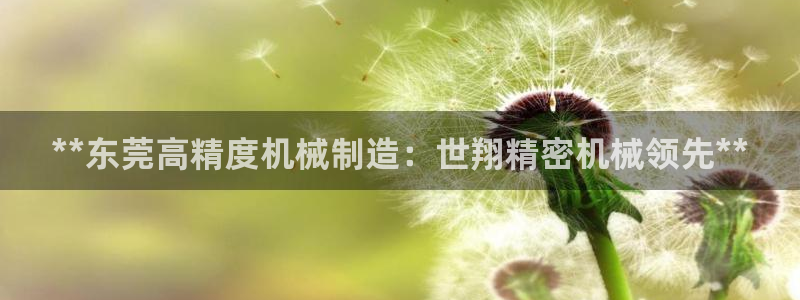 所有彩神购买首页：**东莞高精度机械制造：世翔精密机械领先**