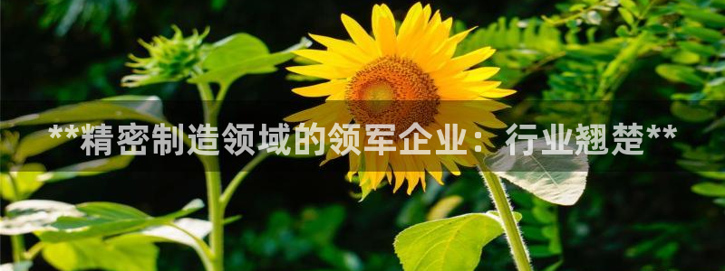 彩神v8下载app5.0