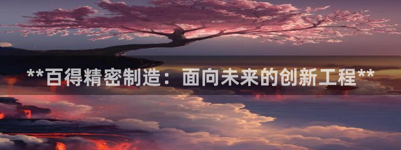 彩神x平台靠什么盈利：**百得精密制造：面向未来的创新工程**