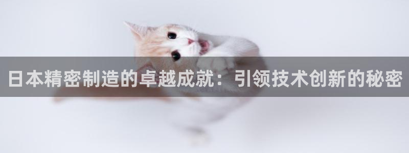 彩神8彩平台官网