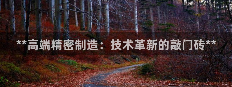 彩神v8下载app：**高端精密制造：技术革新的敲门砖**