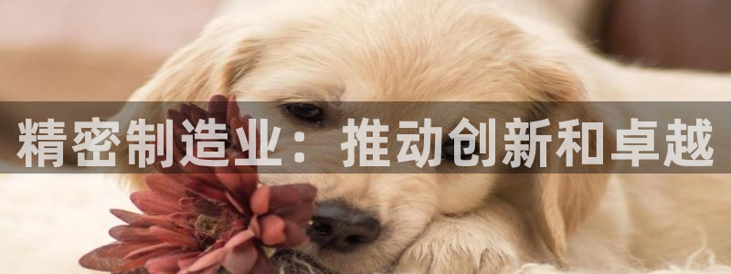 彩神购彩-购彩大厅入口