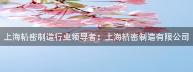 彩神V集团有限公司