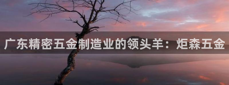 彩神网能赚钱是怎么回事：广东精密五金制造业的领头羊：炬森五金