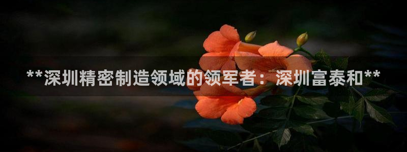 彩神广告有限公司