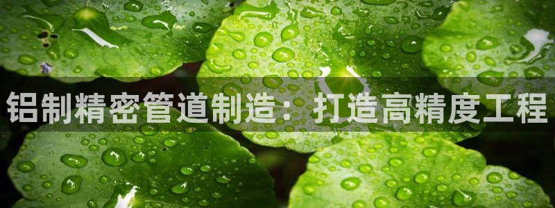 彩神v8平台正规吗知乎